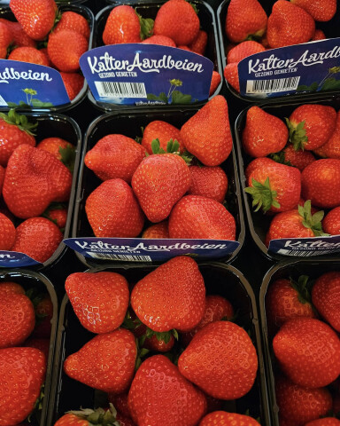 Kalter aardbeien